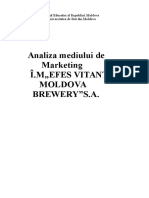 Analiza Mediului de Marketing Im Efes Vitanta Moldova Brewerysa. (Conspecte - MD)