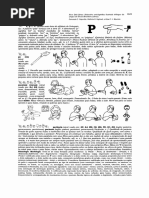 Dicionário Trilíngue Capovilla - LBS, Libras - O