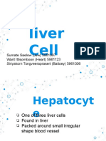 Liver Cell: Sumate Saelow (Jew) 5961097 Warit Ittisomboon (Heart) 5961123 Siriyakorn Tongveeraprasert (Baitoey) 5961006