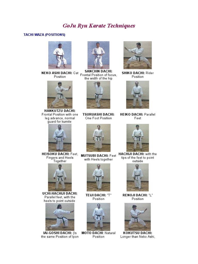 GoJu Ryu Karate Techniques | PDF | Karate | East Asian Martial Arts