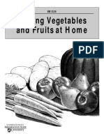 Storing Veg and Fruits at Home