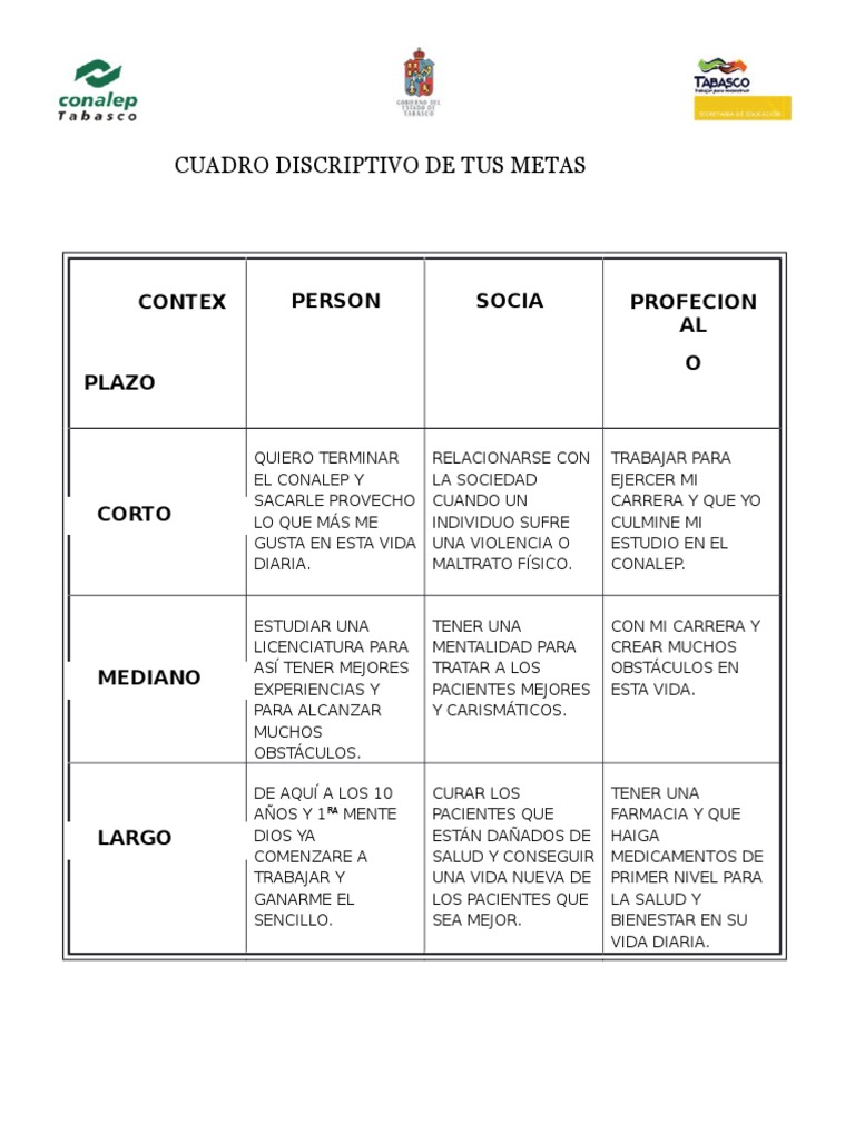 Cuadro Discriptivo de Tus Metas | PDF