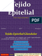 Tejido Epitelial Glandular