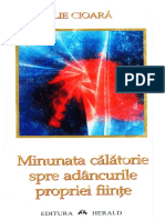 minunata-calatorie-spre-adancurile-propiei-fiinte-de-ilie-cioara-2000-search-in-text.pdf