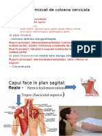 MISCARI CAP SI TRUNCHI.pptx