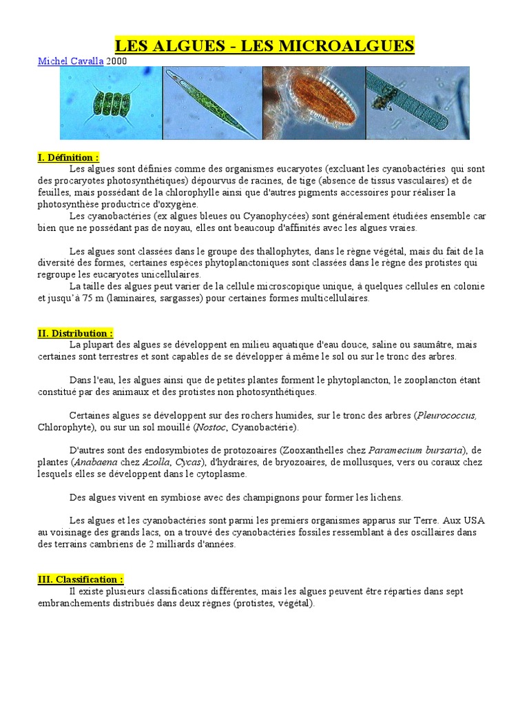 Classification et caractéristiques des algues PDF Cyanobactéries — free download
