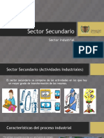 Sector Secundario.pptx