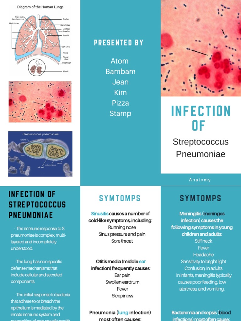 Symptoms of Streptococcus Pneumoniae Infection | PDF
