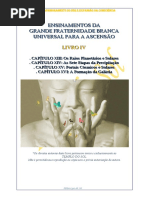 Portais Estelares.pdf