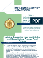900_tema_2_-la_tutela_de_derechos_en_el_ncpp.pdf