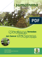 Taxus Sumatrana Mutiara Terpendam Dari Z PDF