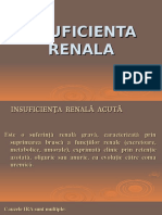 Insuficienta Renala