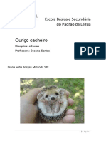 Ouriço Cacheiro PDF