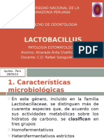 Lactobacillus