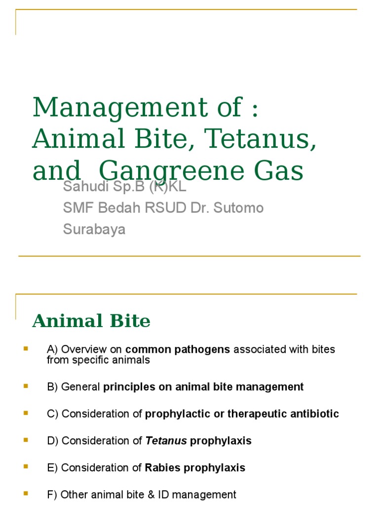 Animal Bite Management Guidelines | PDF | Rabies | Diseases And Disorders