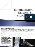 Glezna_Picior