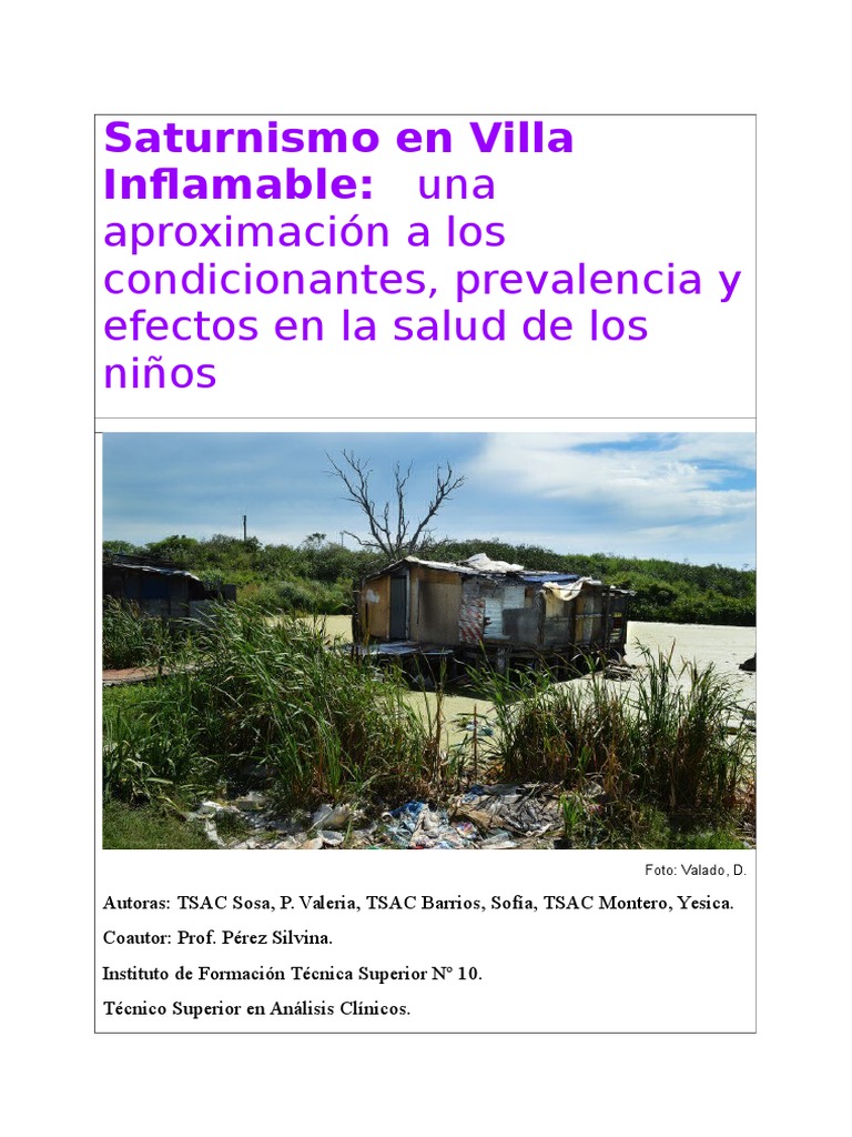 Saturnismo Gsan Martin Epidemio 2c16 Globulo Rojo Contaminacion