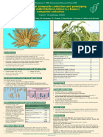 Development of Composite 2006