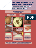 REVISTA Inst Salud Del Niño Araña Domestica