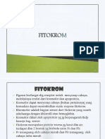 4) Fitokrom - Sitokrom
