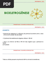 BIOELETROGÊNESE