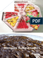 Permen Rumput Laut PPT Fix