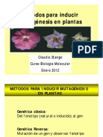Mutag Nesis en Plantas11