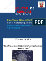 Bacterias CLASE 2.ppt