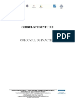 Ghid Colocviu de practica.pdf