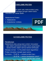 Metabolisme Protein PDF
