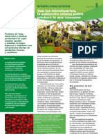 Microhuertos PDF
