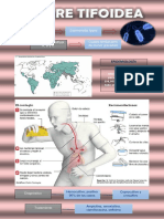 Fiebre Tifoidea