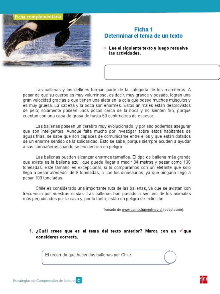 Características de las ballenas | PDF | Naturaleza