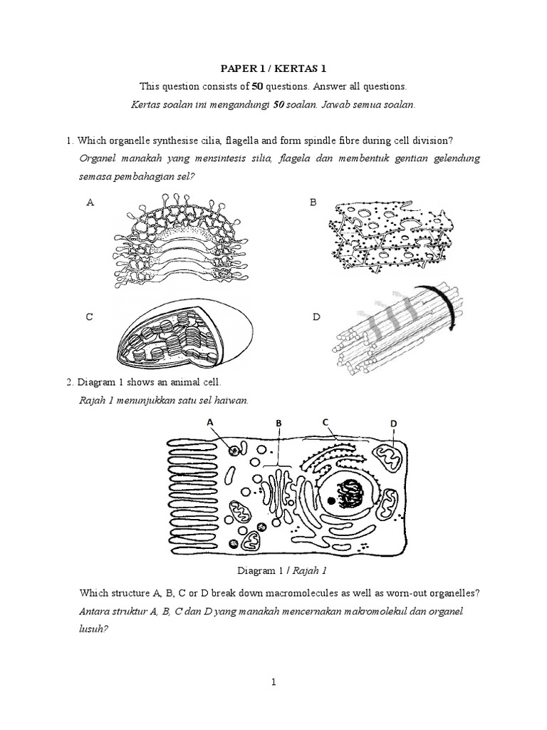 Paper 1 / Kertas 1