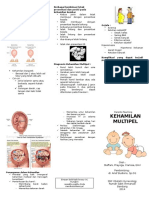 MT Multiple Pregnancy