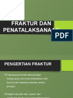 FRAKTUR DAN BALUT BIDAI.pptx