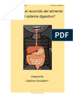 2sistema digestivo word.docx