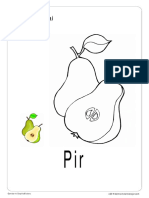 Pir PDF