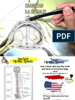 TUMOR MEDULA Medula Spinalis