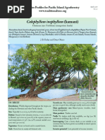 Download Calophyllum-kamani by Habib Maulana Yasminto SN349641552 doc pdf