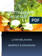 IV - Vegetables Asr 060914
