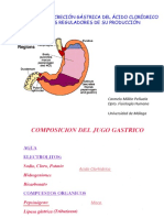 Presentación Práctica Secreción Gastrica