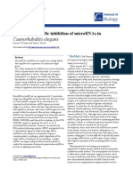 Caenorhabditis Elegans: Robust and Specific Inhibition of Micrornas in