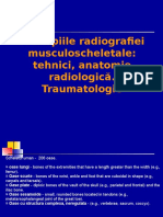 Radiografie musculoscheletala principii tehnici anatomie