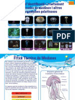 25.Jellyfish Guide 2014 - Spain (Catalan)