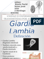 p2 - U2 - Enfermedades Transmitidas Por Alimentos - Giardia Lamblia