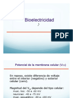 Bioelectricidad Membrana