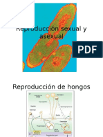 Reproducción Sexual y Asexual