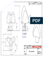 Pico Inyectora.pdf