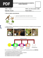 Nº4 Cadenas Alimenticias